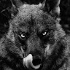 Meet your Posher, Sabastian